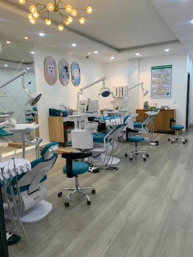 HẢI PHÒNG DENTIST photo 5